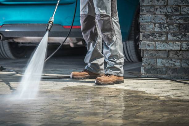 Best Paint Preparation  in Crest View Heights, NY